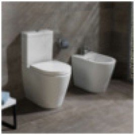 Toilets - Systems and Facilities