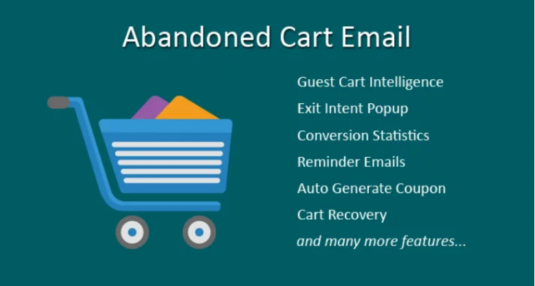 Abandoned Cart Emails - PRO